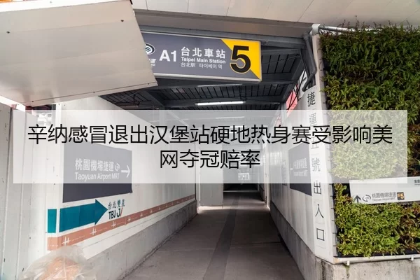 辛纳感冒退出汉堡站硬地热身赛受影响美网夺冠赔率